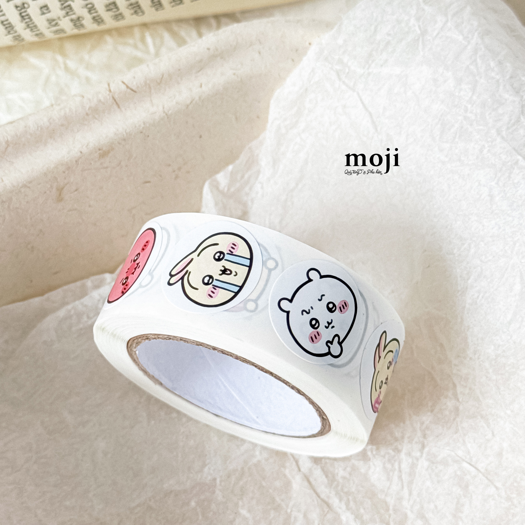 20260211_P8SoG2mH.JPG