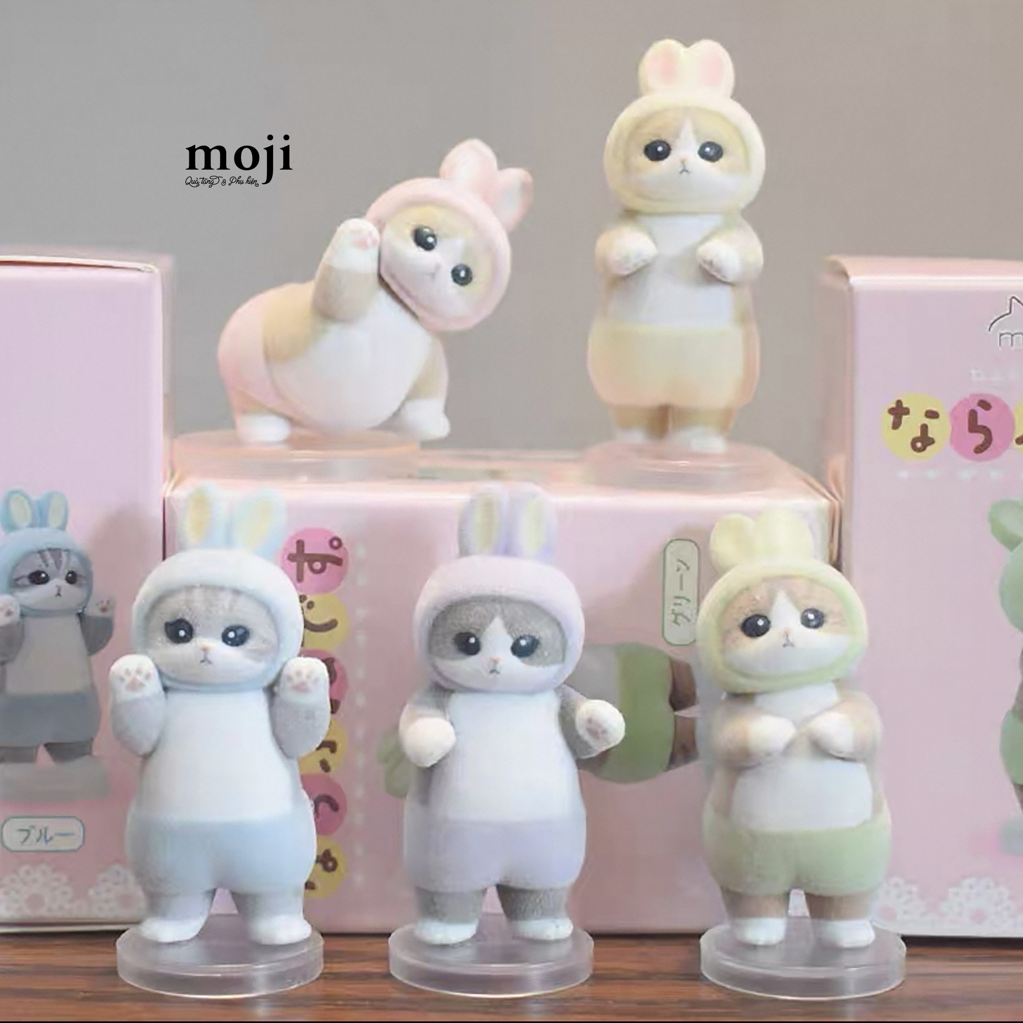 20260212_tMmFRynh.jpg