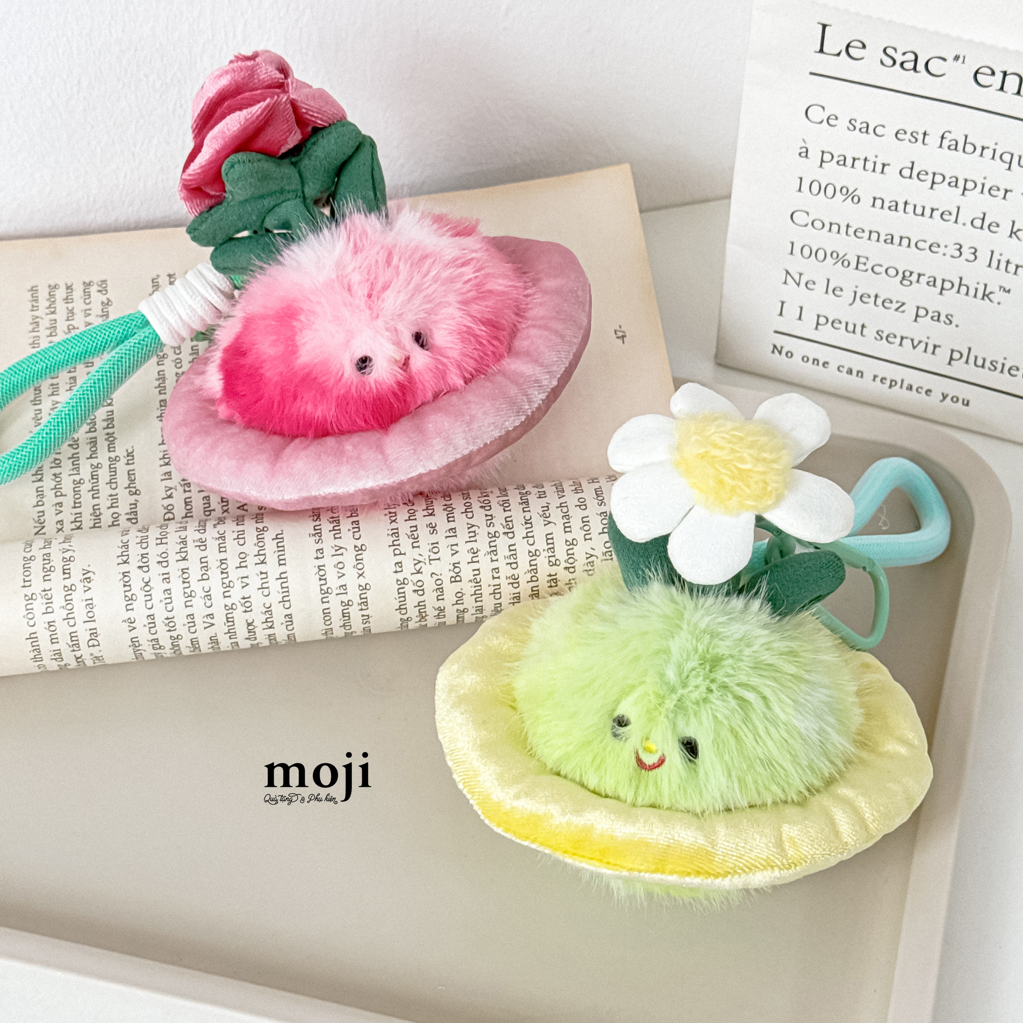 20260224_6GEiEIW3.JPG