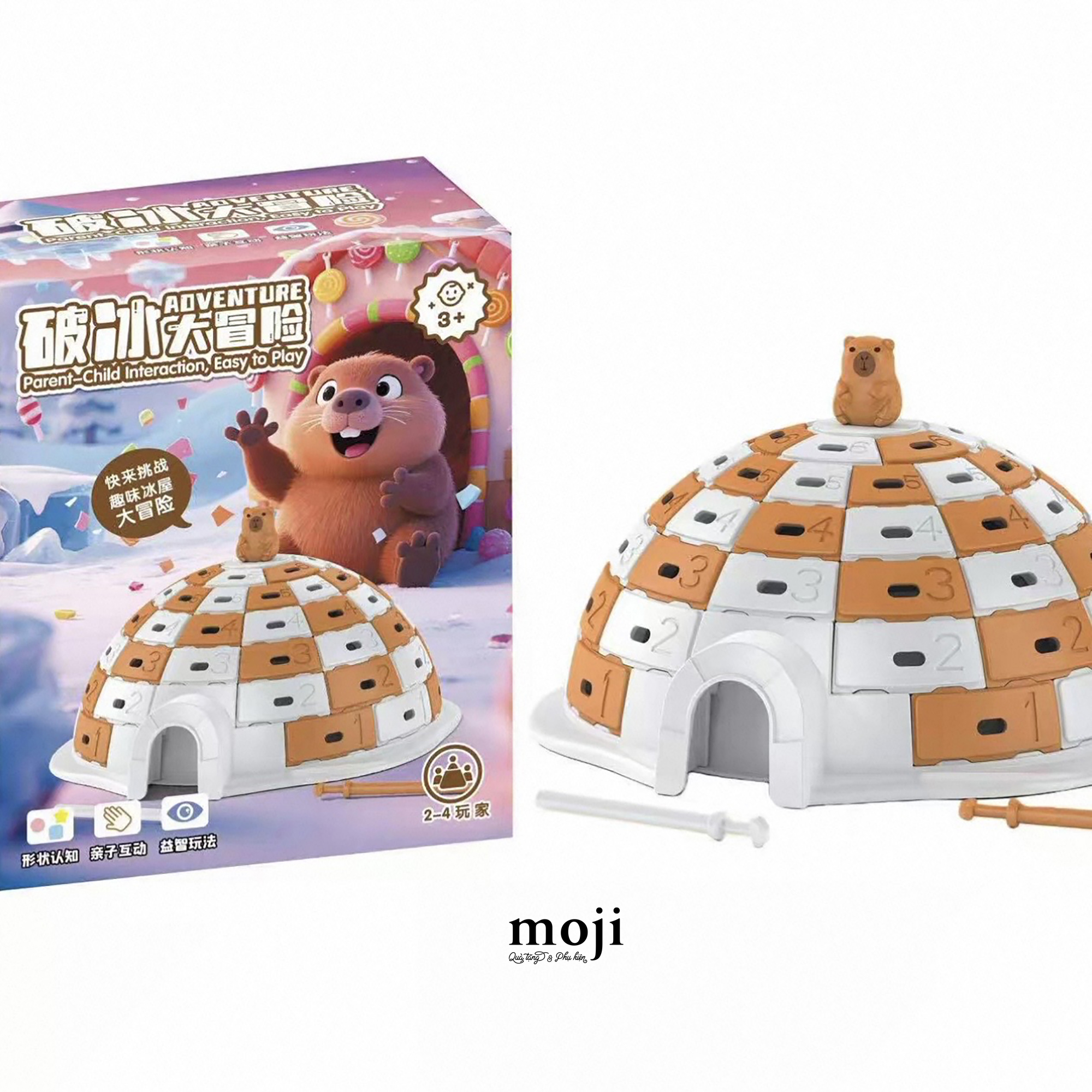 20260226_gEwSTZzu.jpg