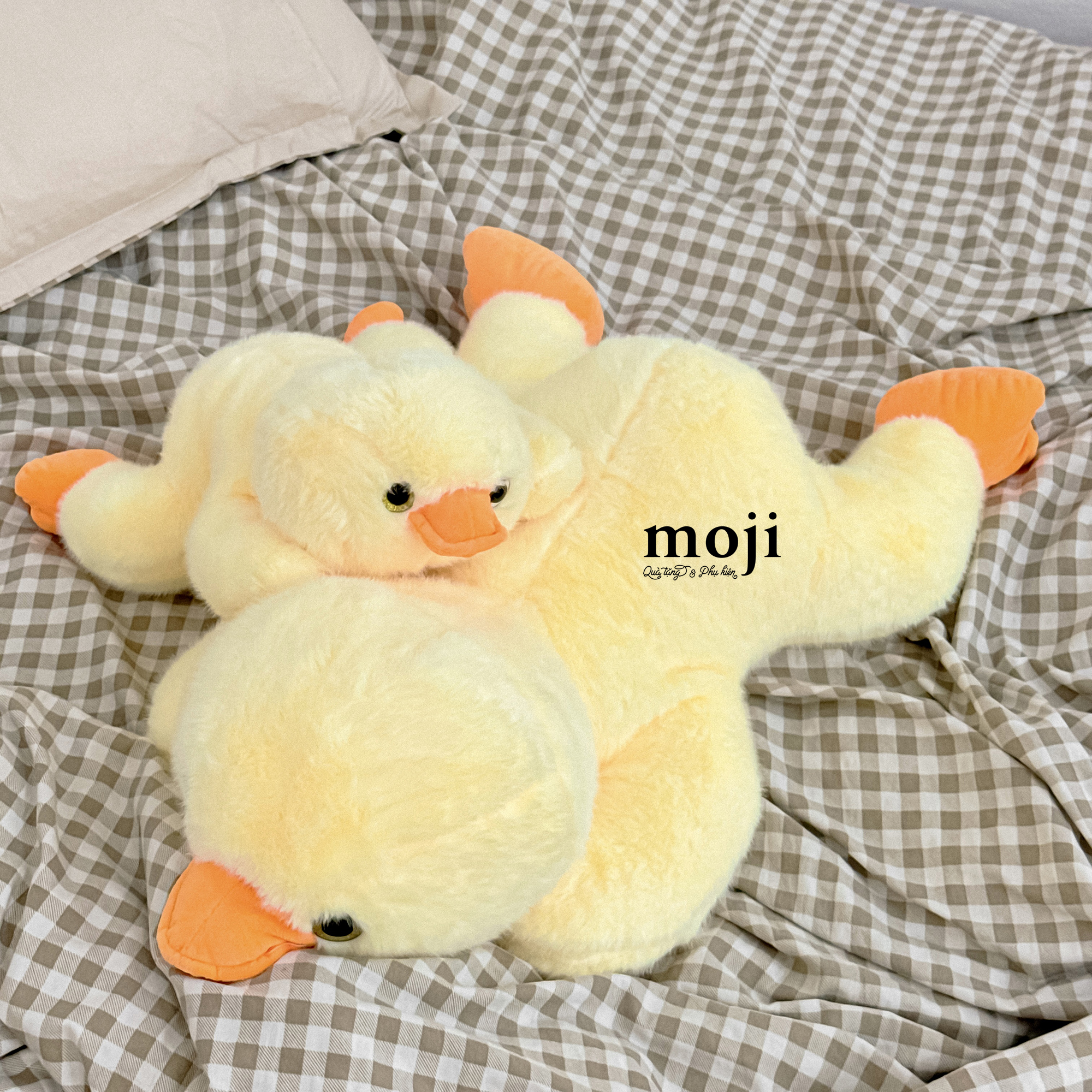A-760-Gau-bong-ANM-60-26010416-6.jpg?v=1776047130