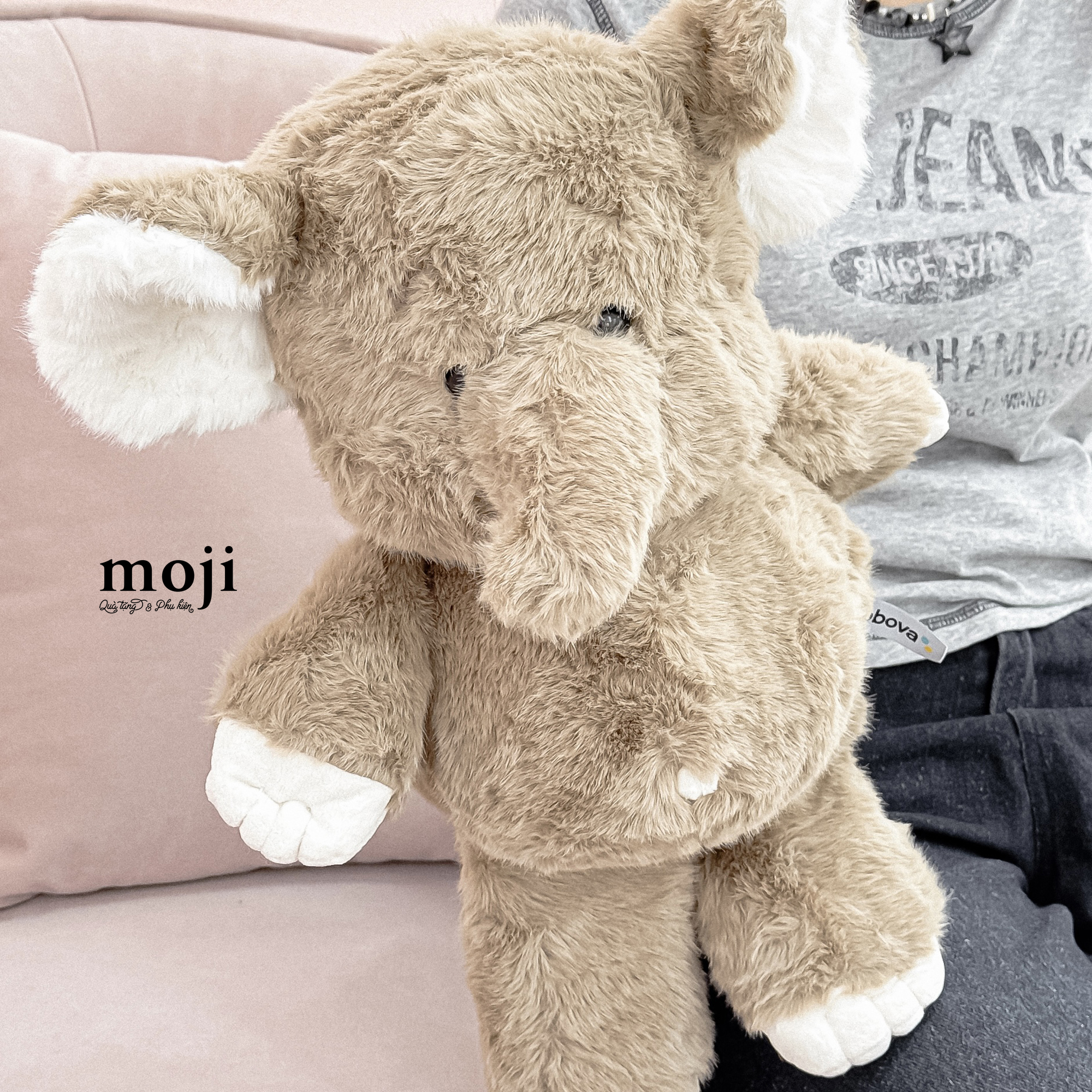 A-761-Gau-bong-ANM-45-26053079-9.jpg?v=1781086529