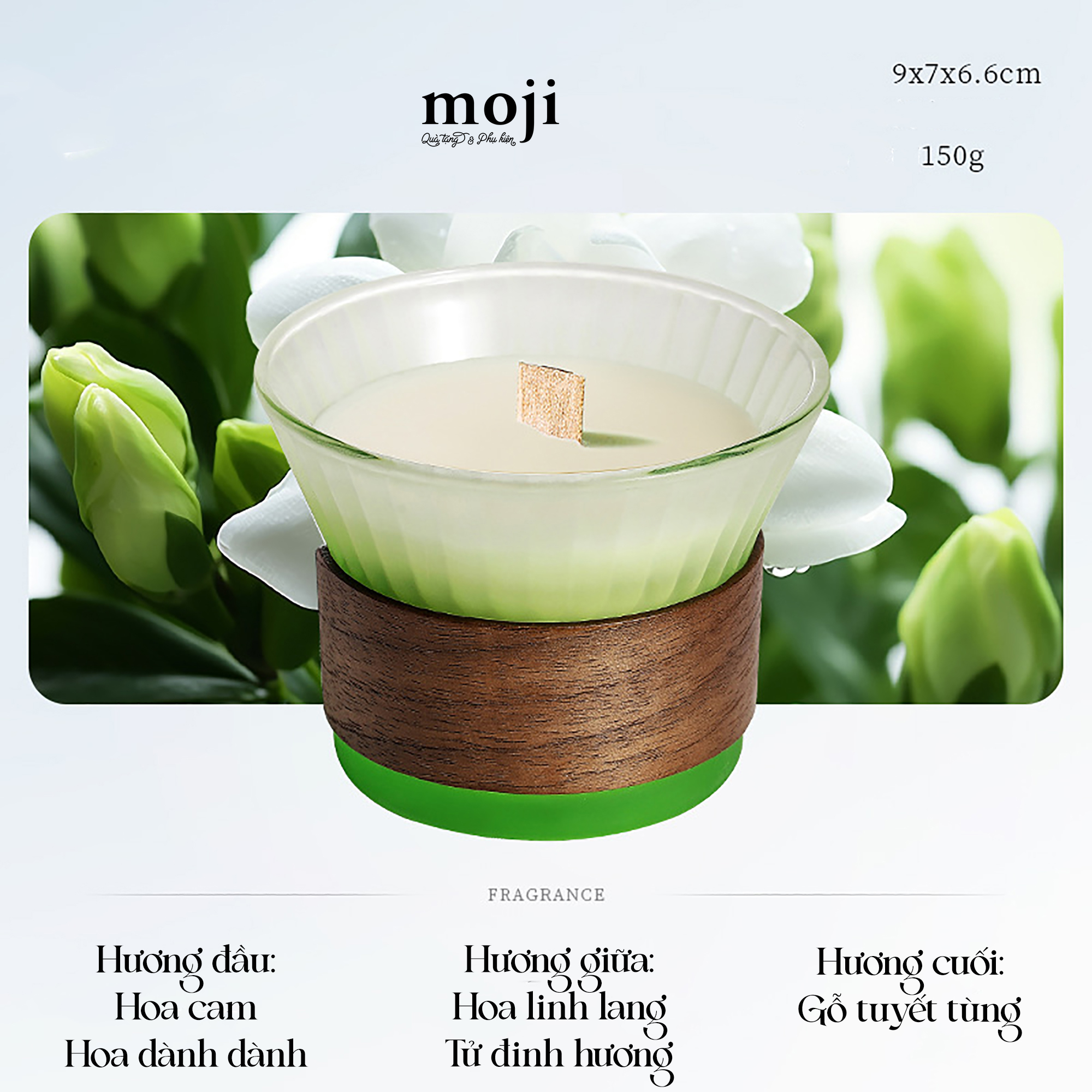 B.008 Nến-26092058 - 1 Dịch text sang TV.jpg