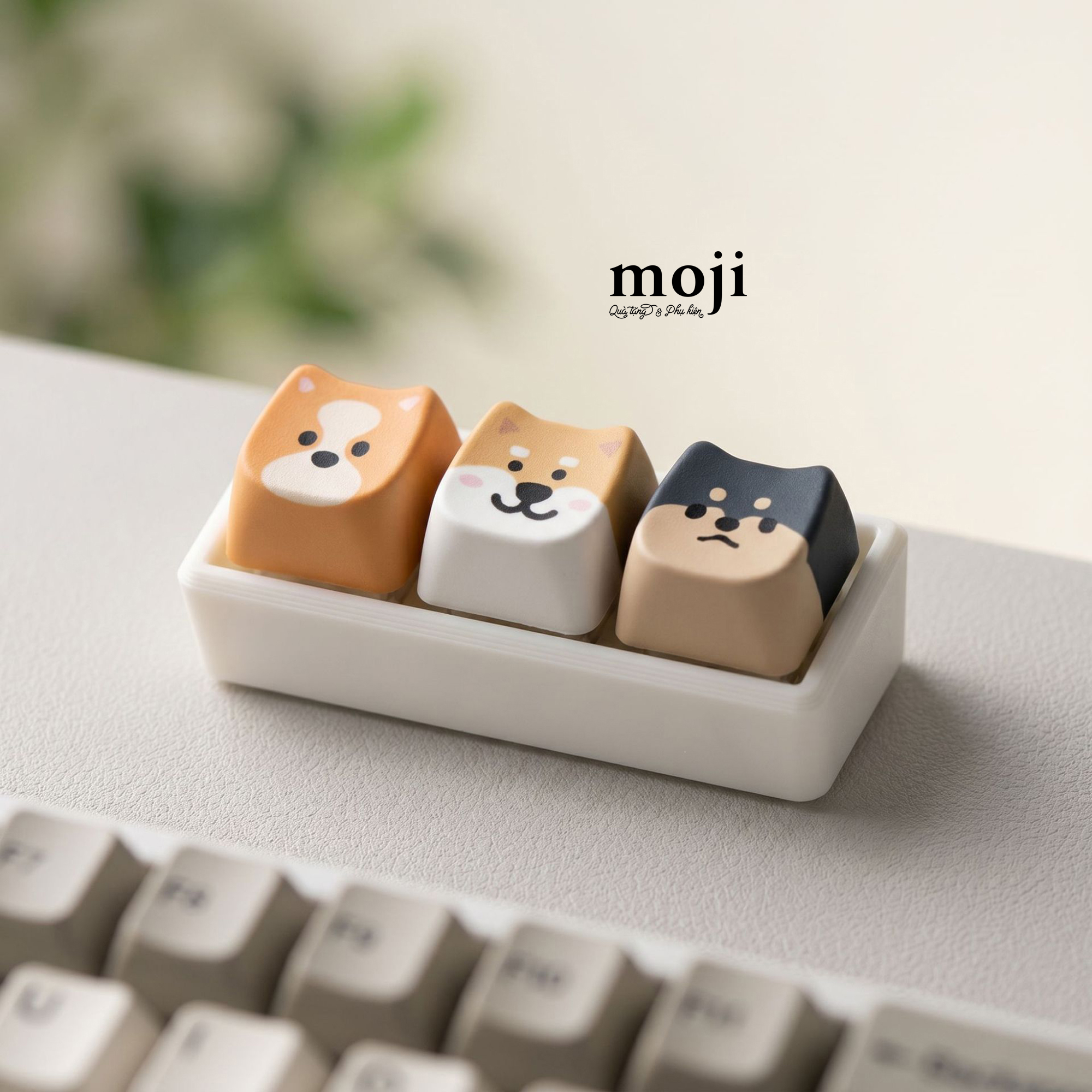 B-05G-Moc-khoa-ANM-THG-26052172.jpg?v=1780643402