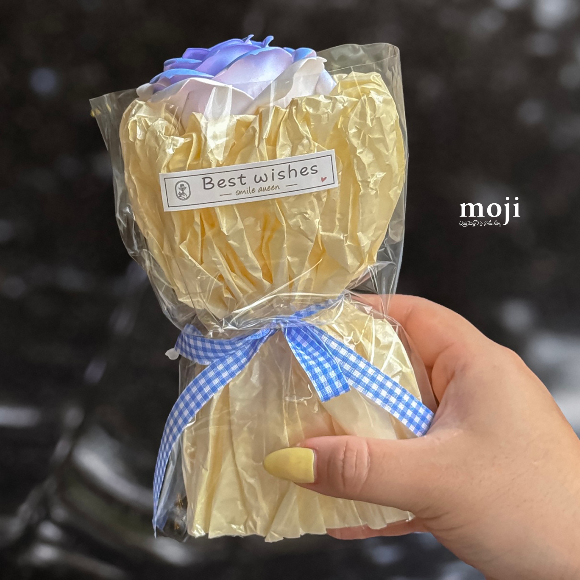 Set-qua-Too-Cute-to-Commute_20250920_MUxvu3frAz.jpg