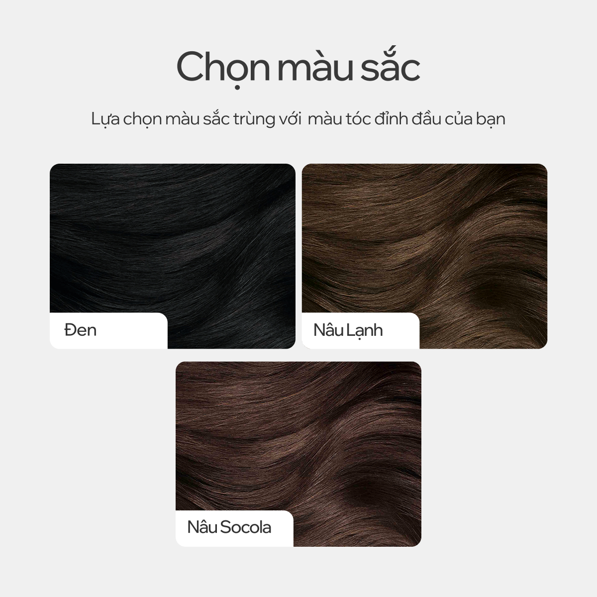 HD Lựa chọn - Màu sắc.jpg