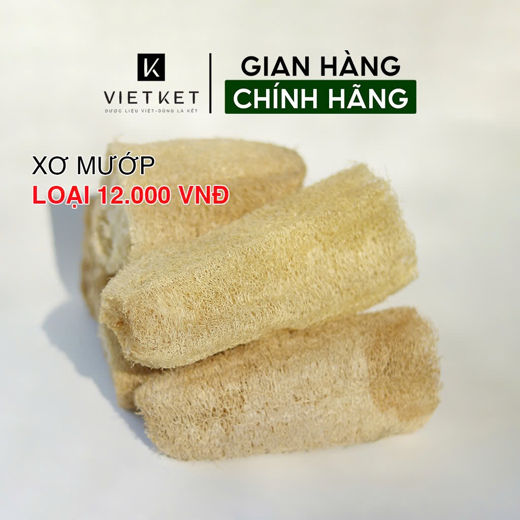 Xơ mướp