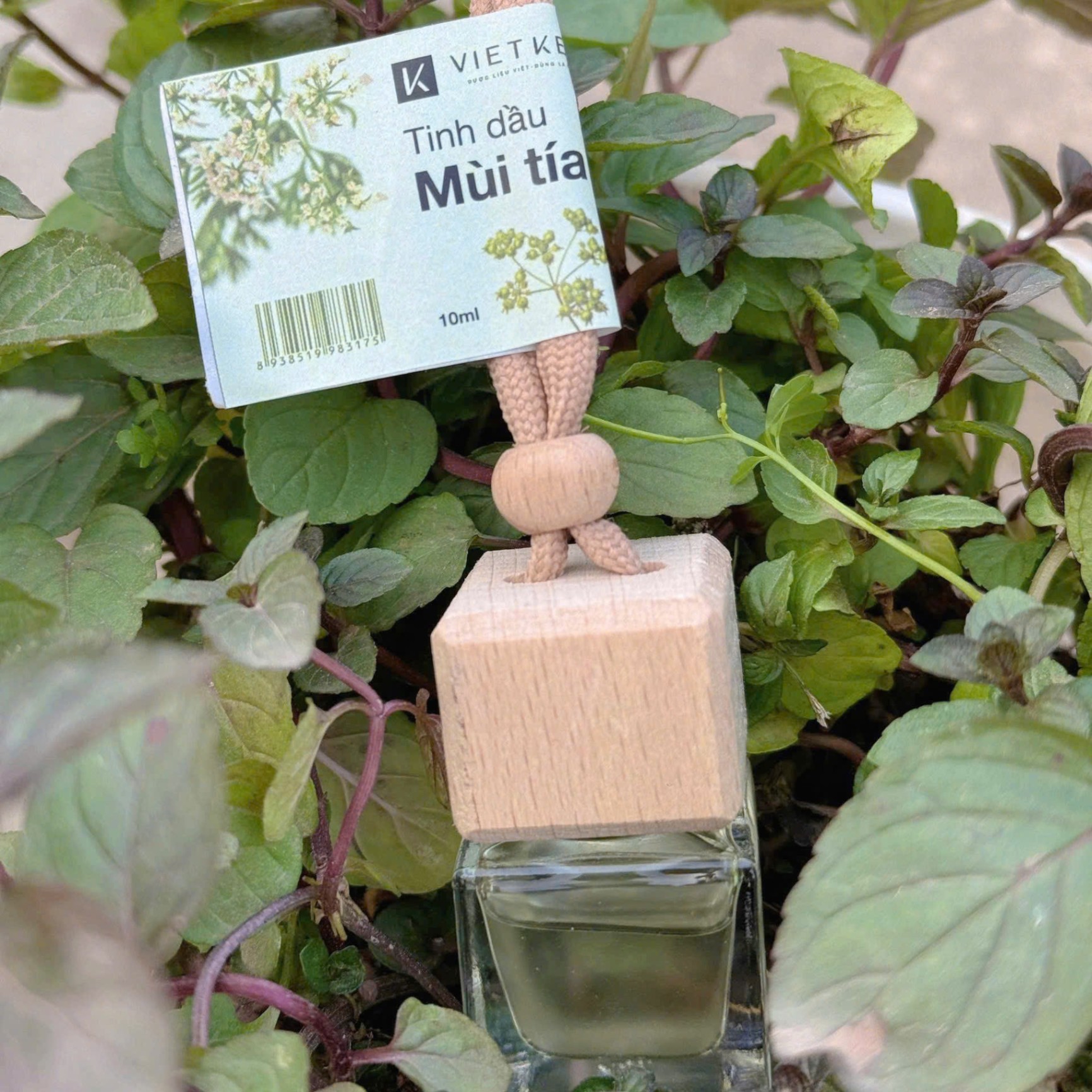Tinh Dầu Mùi Già 7ml Nguyên Chất, Tinh Dầu Thơm (phòng ngủ, tủ quần áo, xe, nhà vệ sinh), Khử Mùi, Tẩy Uế VIETKET
