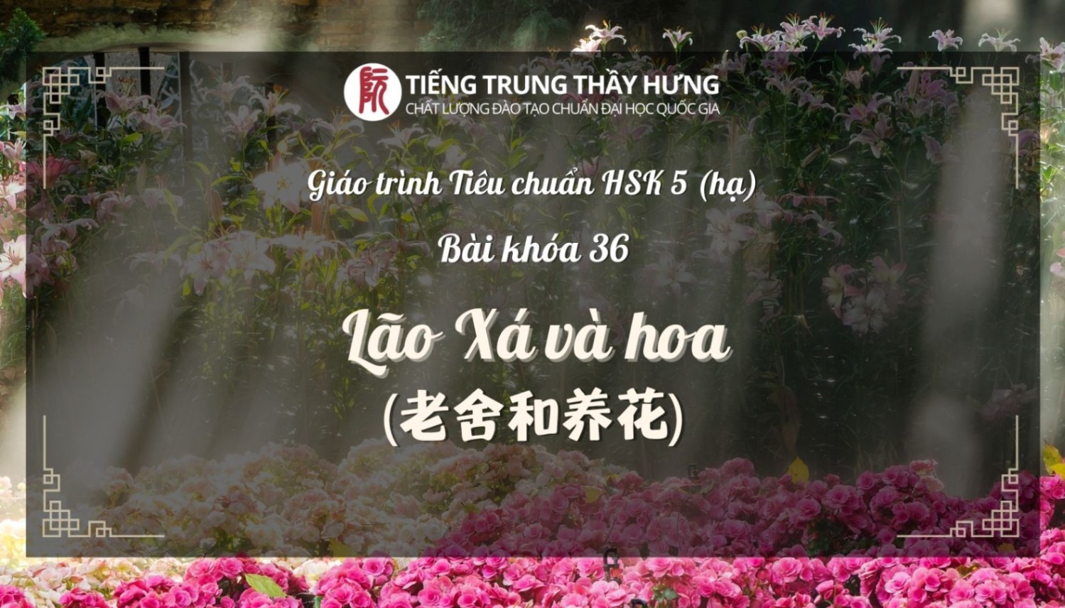 HSK 5 Bài 36: Lão Xá Và Hoa (老舍和养花)