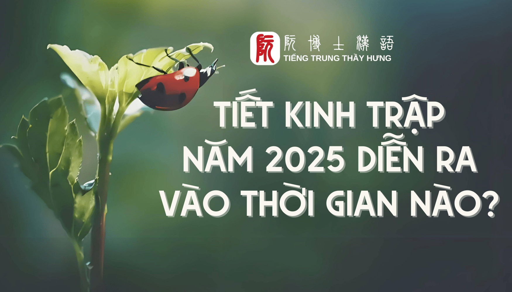 TIẾT KINH TRẬP LÀ GÌ? TIẾT KINH TRẬP NĂM 2025 DIỄN RA VÀO THỜI GIAN NÀO?