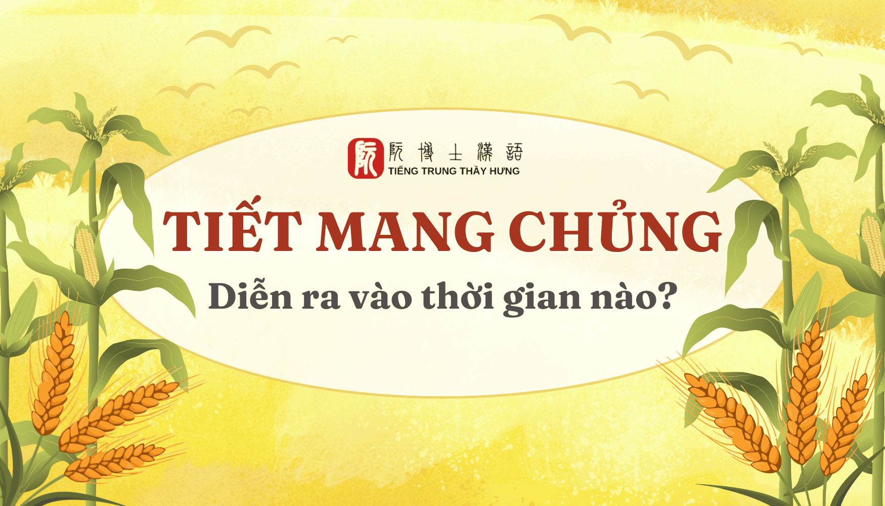 TIẾT MANG CHỦNG LÀ GÌ? TIẾT MANG CHỦNG 2025 DIỄN RA VÀO THỜI GIAN NÀO?