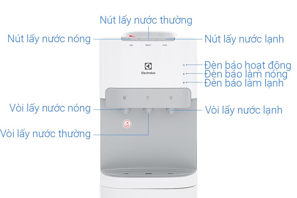 Cây Nước Electrolux EQACF01TXWV