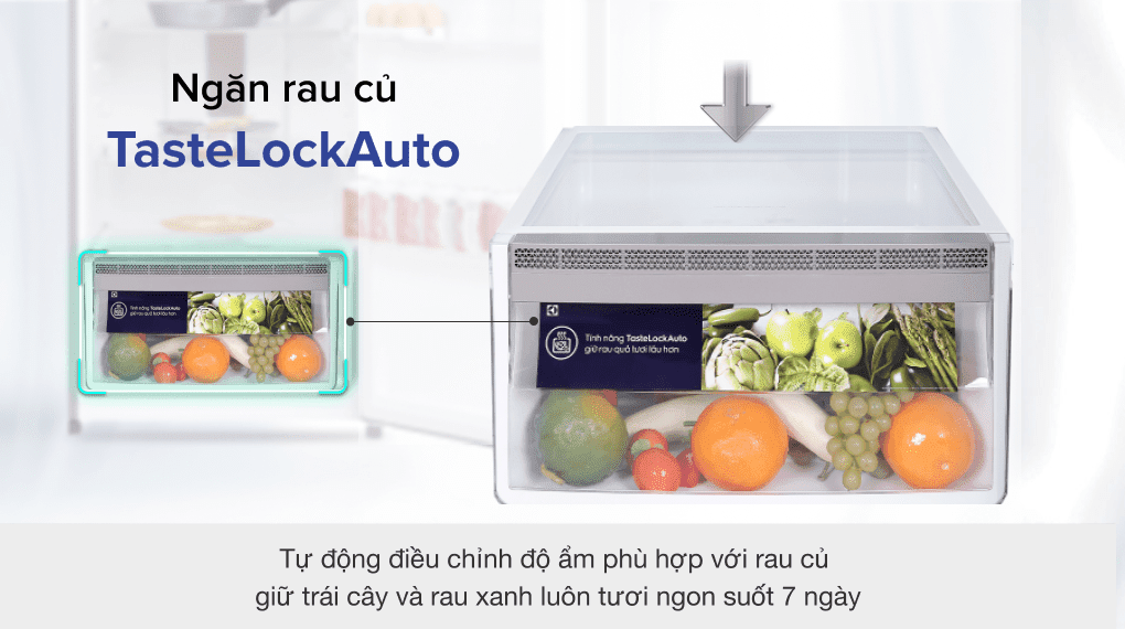 Tủ lạnh Electrolux ETB3440K-H