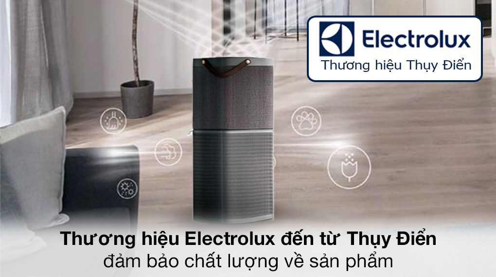 Máy lọc không khí Electrolux PA91-606DG