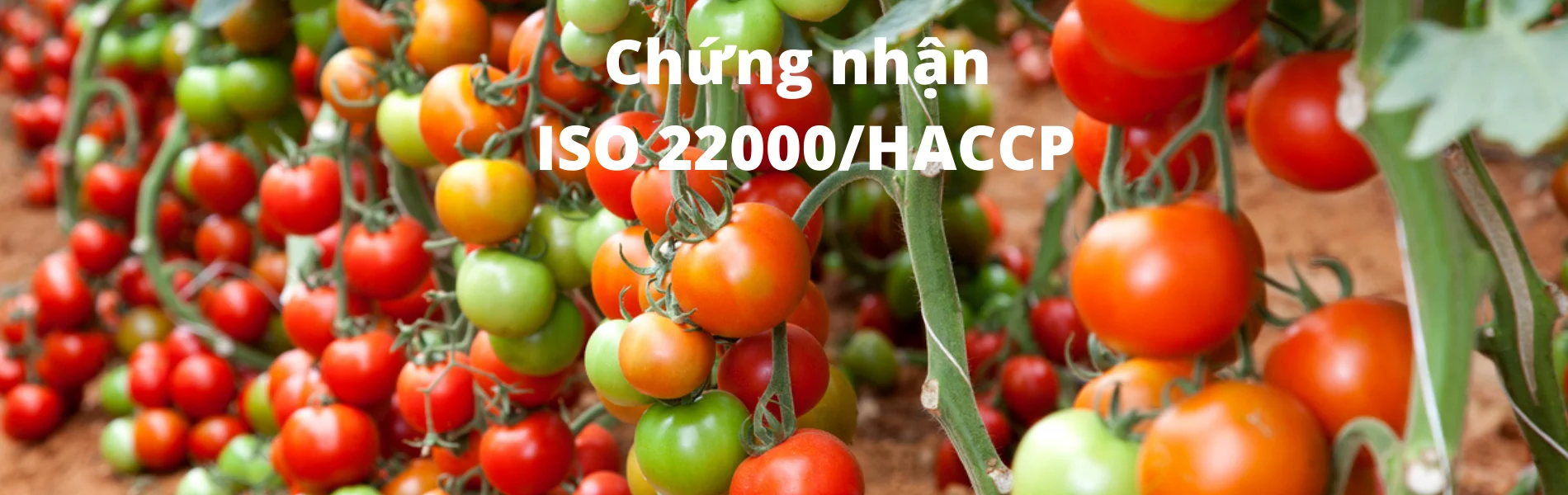 TỔ CHỨC CHỨNG NHẬN KMR VIỆT NAM