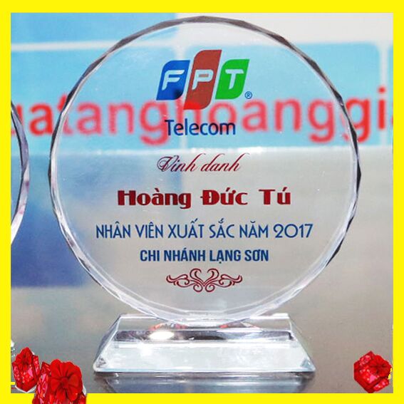 Kỷ Niệm Chương Vinh Danh Nhân Viên Cuối Năm - QCN100