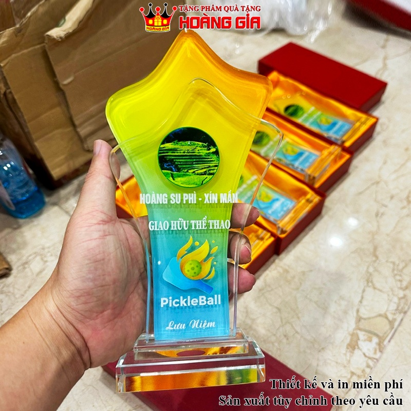 XƯỞNG LÀM KỶ NIỆM CHƯƠNG LƯU NIỆM IN THEO YÊU CẦU QUÀ TẶNG MÔN PICKLEBALL CTT82B