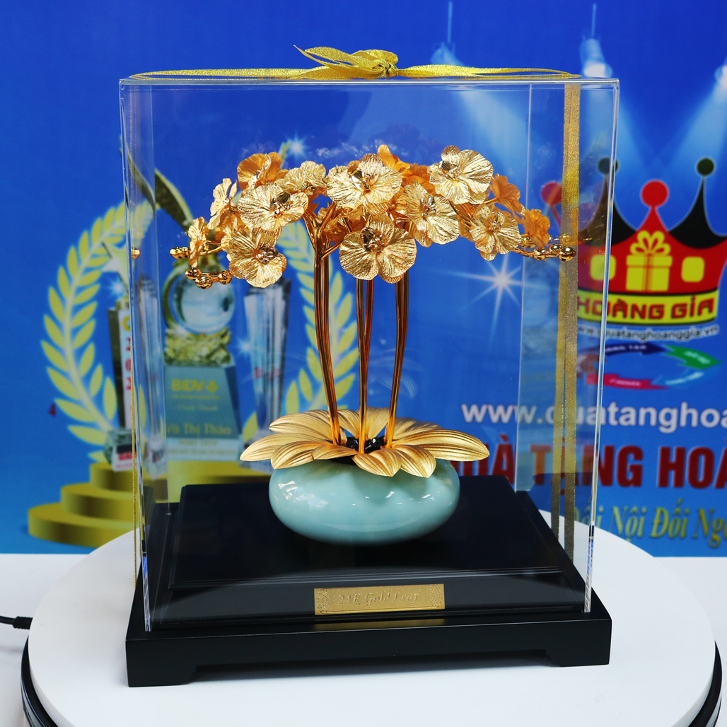Quà Tặng Dát Vàng 24k Chậu Hoa Lan 6 Cành QTV 31