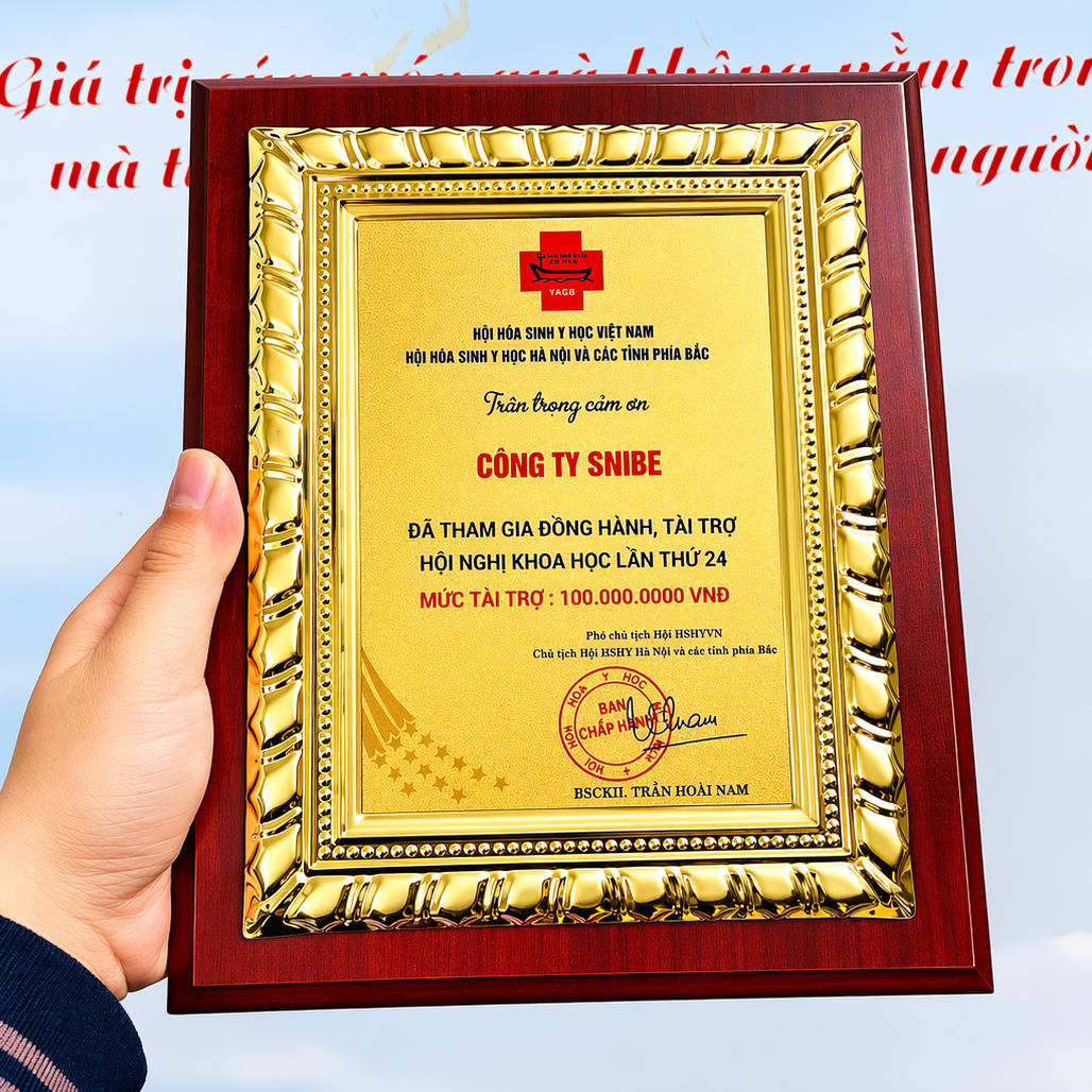 Xưởng Làm Bảng Vinh Danh,  Bằng Chứng Nhận Gỗ Đồng BVD75A