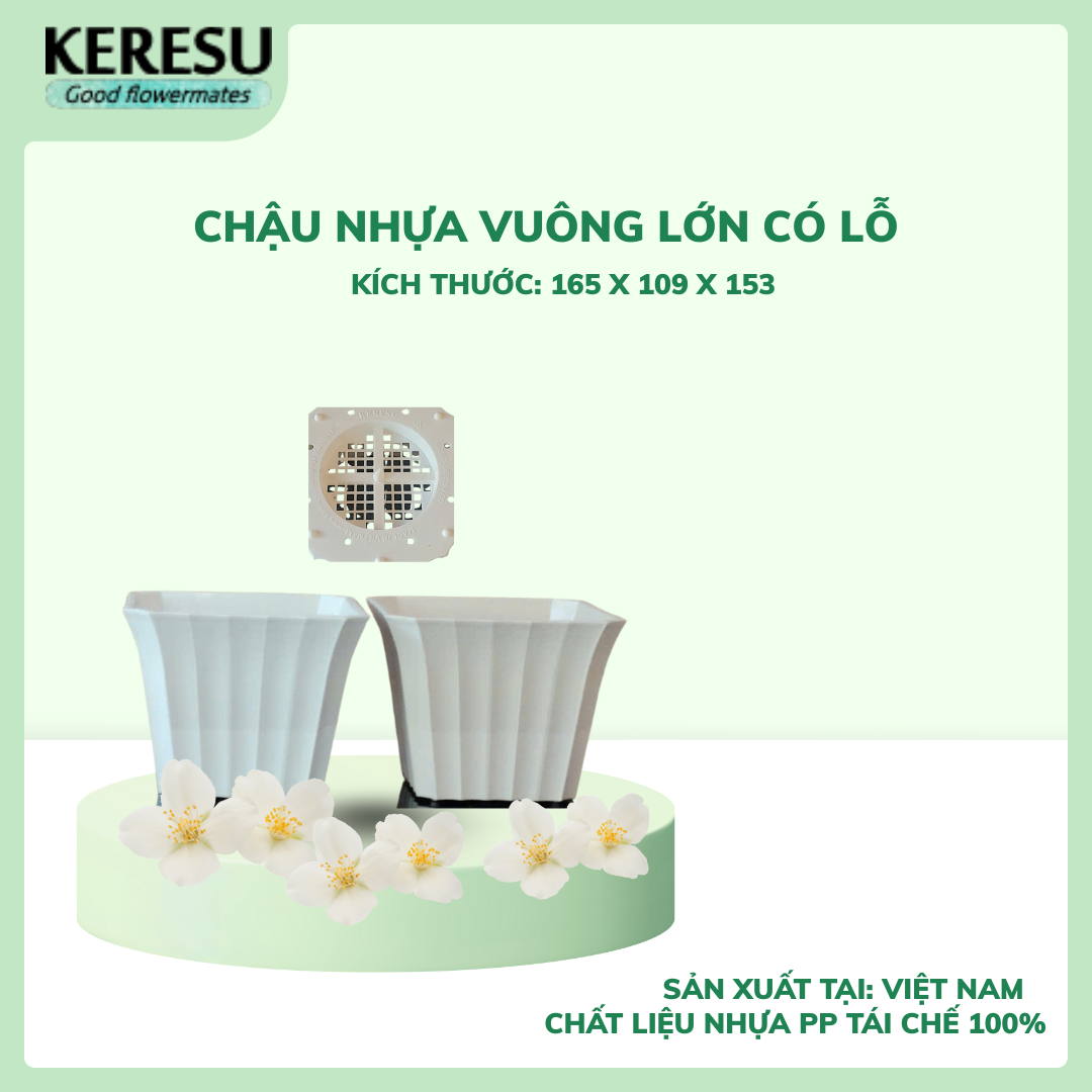 Chậu Nhựa Vuông Lớn Có lỗ