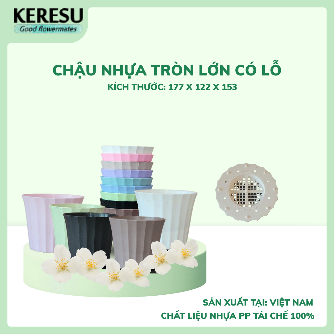 Chậu Nhựa Tròn Lớn Có lỗ