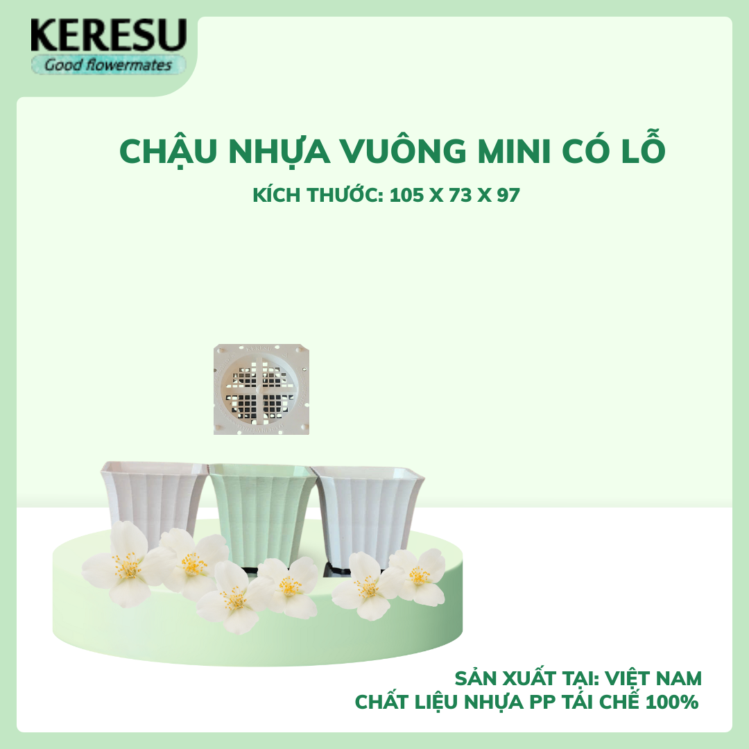 Chậu Nhựa Vuông Mini Có lỗ