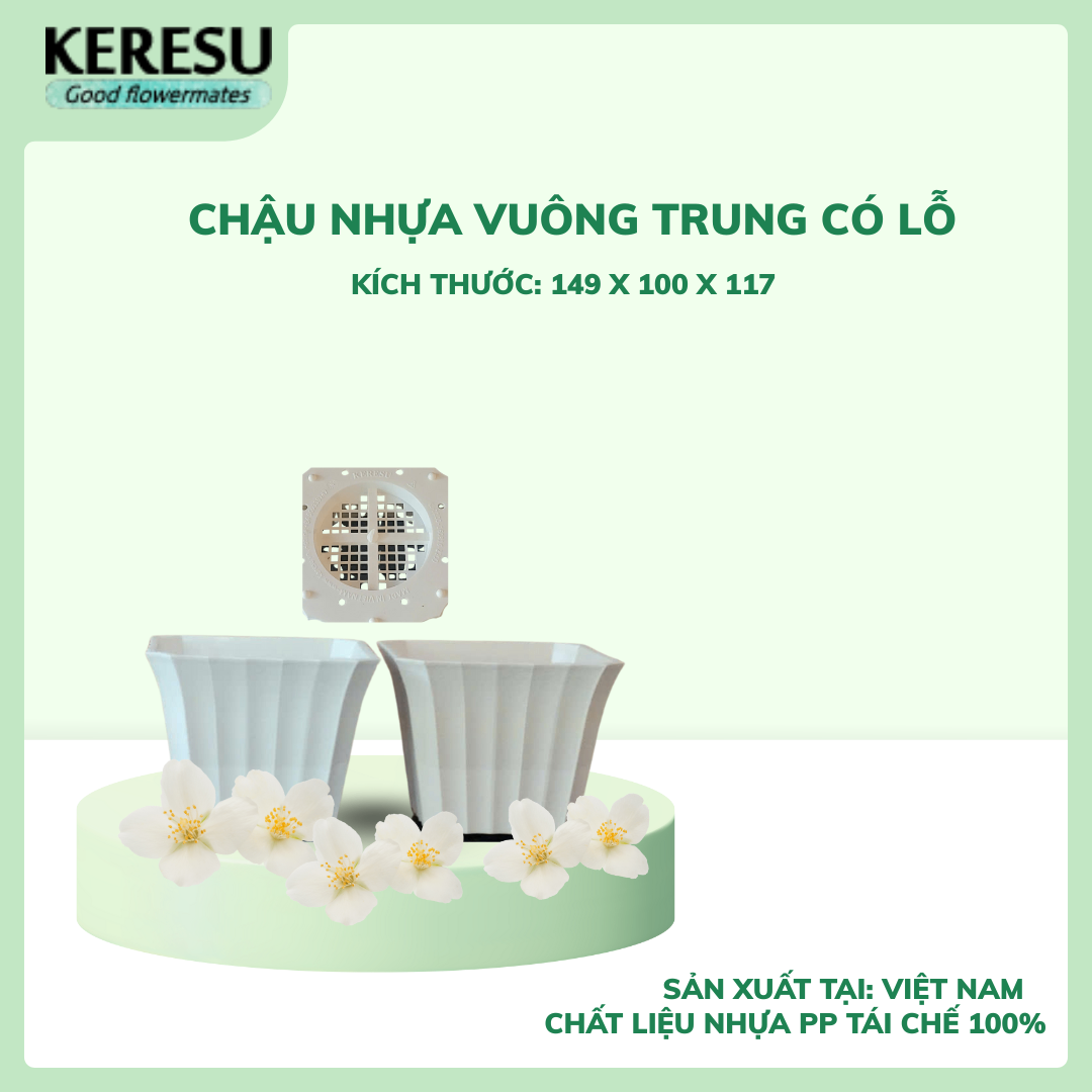 Chậu Nhựa Vuông Trung Có lỗ