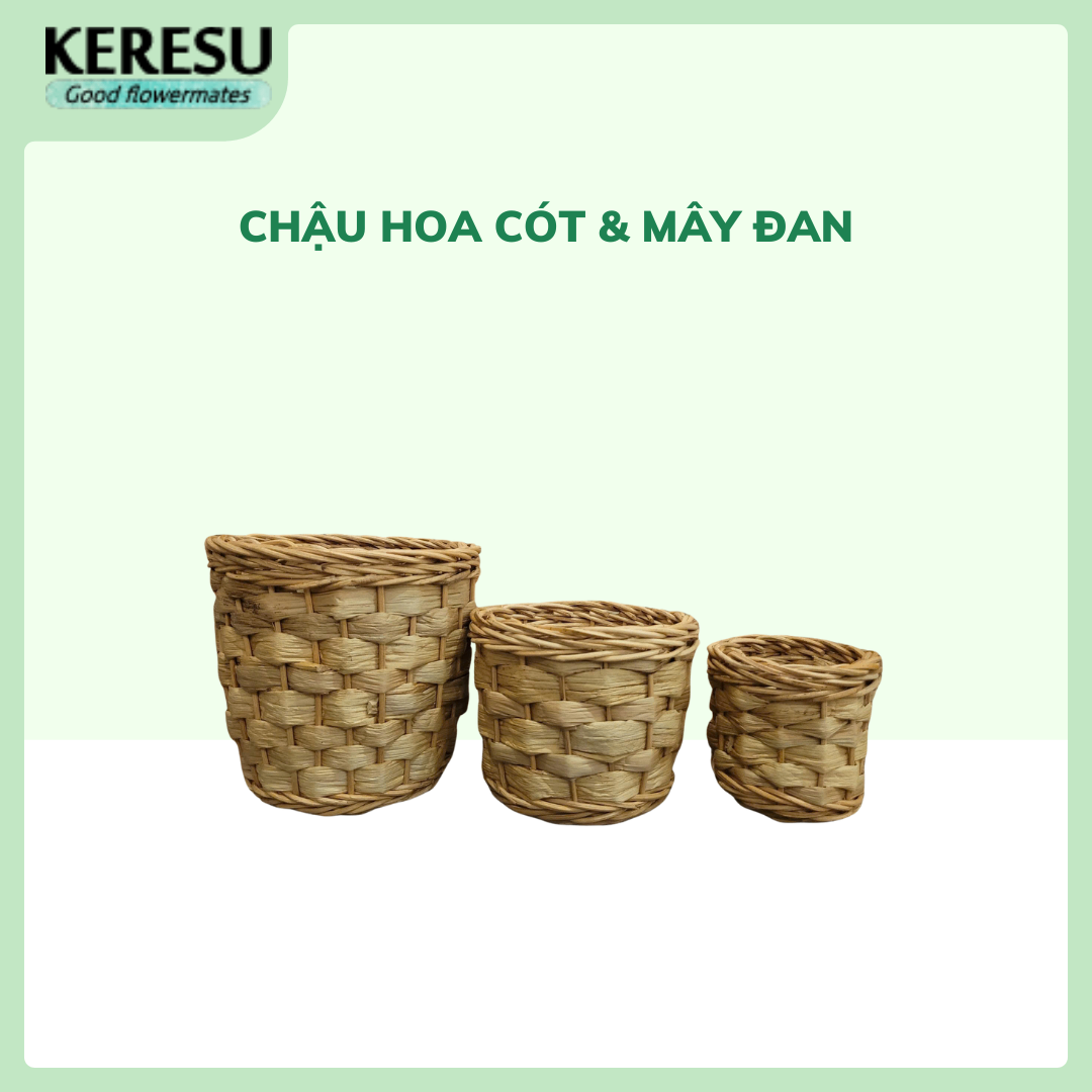 Chậu hoa cót & mây đan