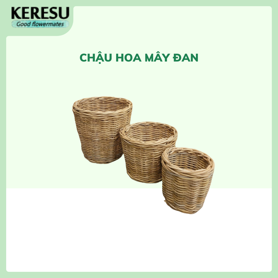 Chậu hoa mây đan
