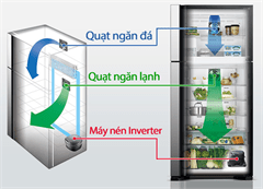 Tủ lạnh Hitachi Tủ lạnh Hitachi FG510PGV8 (GBK) - 406L Inverter - 406L Inverter