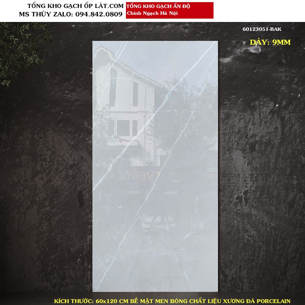 Gạch nhập khẩu ấn độ 60x120 60123051