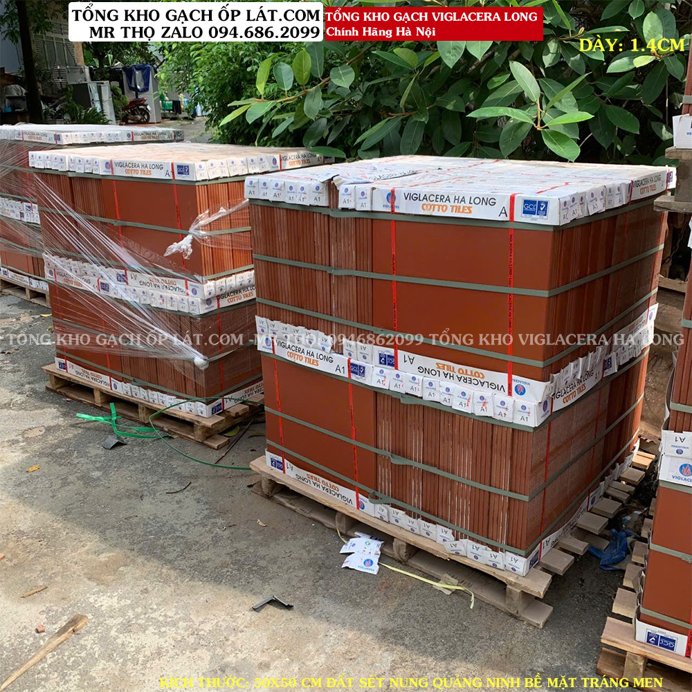 Gach-Do-Trang-Men-VIGLACERA-HA-LONG-50X50-A1-5.jpg