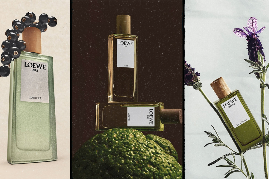 KHÁM PHÁ NHỮNG MÙI HƯƠNG LÝ TƯỞNG CHO MÙA HÈ CÙNG LOEWE
