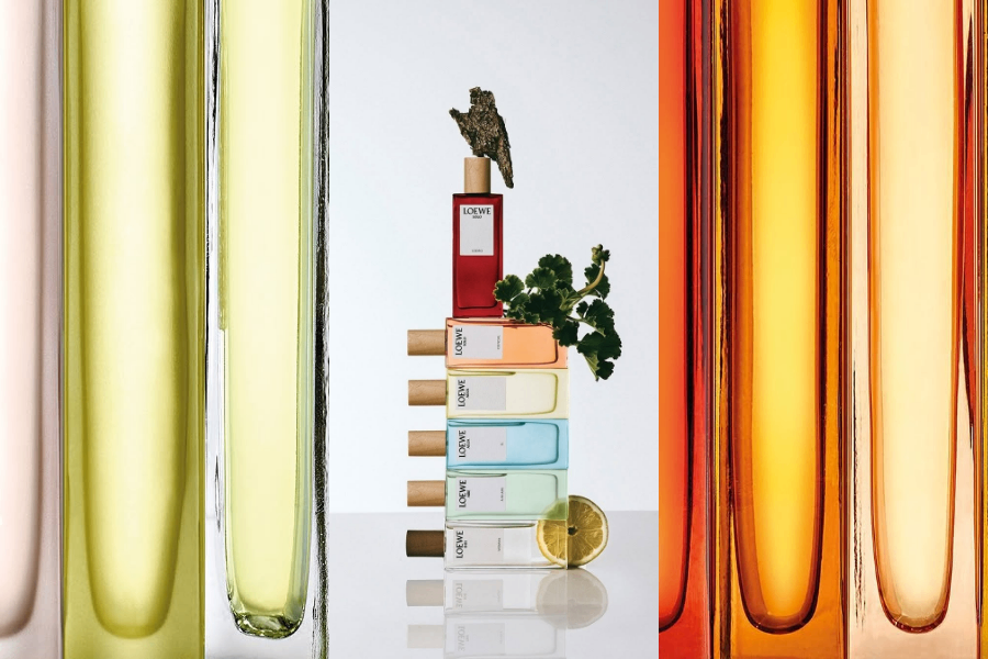 LOEWE: QUÀ LỄ HỘI HƯƠNG THƠM TINH HOA