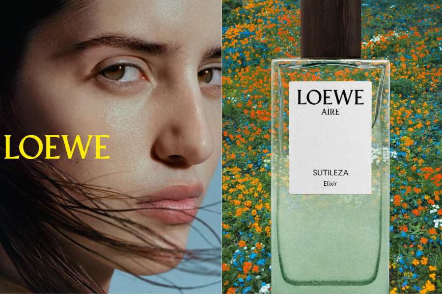 AIRE SUTILEZA ELIXIR – DIỄN GIẢI ĐẦY SỨC SỐNG CỦA MỘT BIỂU TƯỢNG LOEWE