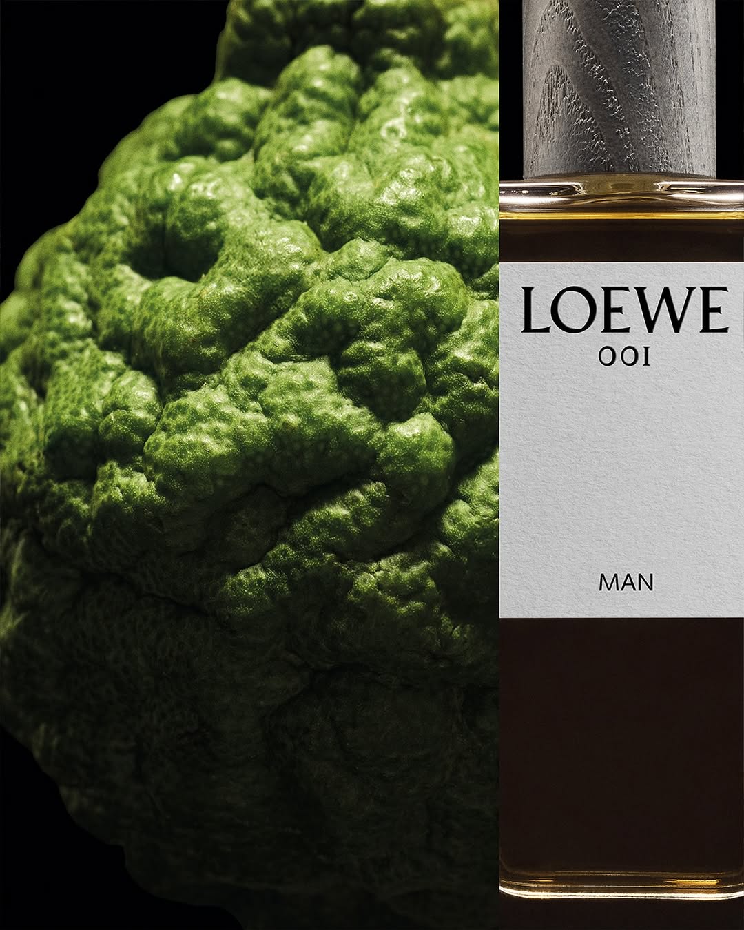 LOEWE-001-HANH-TRINH-DANH-THUC-BINH-MINH-CAM-XUC_4.jpg