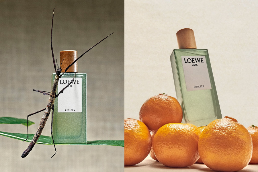 LOEWE Aire Sutileza, Esencia và Earth Ba sắc thái tinh hoa trong vũ trụ Botanical Rainbow LOEWE AIRE SUTILEZA ESENCIA EARTH BA SAC THAI TINH HOA TRONG VU TRU BOTANICAL RAINBOW 2 LOEWE Aire Sutileza, Esencia và Earth Ba sắc thái tinh hoa trong vũ trụ Botanical Rainbow