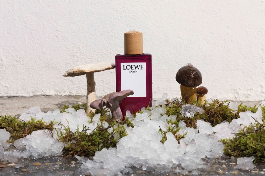 LOEWE Aire Sutileza, Esencia và Earth Ba sắc thái tinh hoa trong vũ trụ Botanical Rainbow LOEWE AIRE SUTILEZA ESENCIA EARTH BA SAC THAI TINH HOA TRONG VU TRU BOTANICAL RAINBOW 4 LOEWE Aire Sutileza, Esencia và Earth Ba sắc thái tinh hoa trong vũ trụ Botanical Rainbow