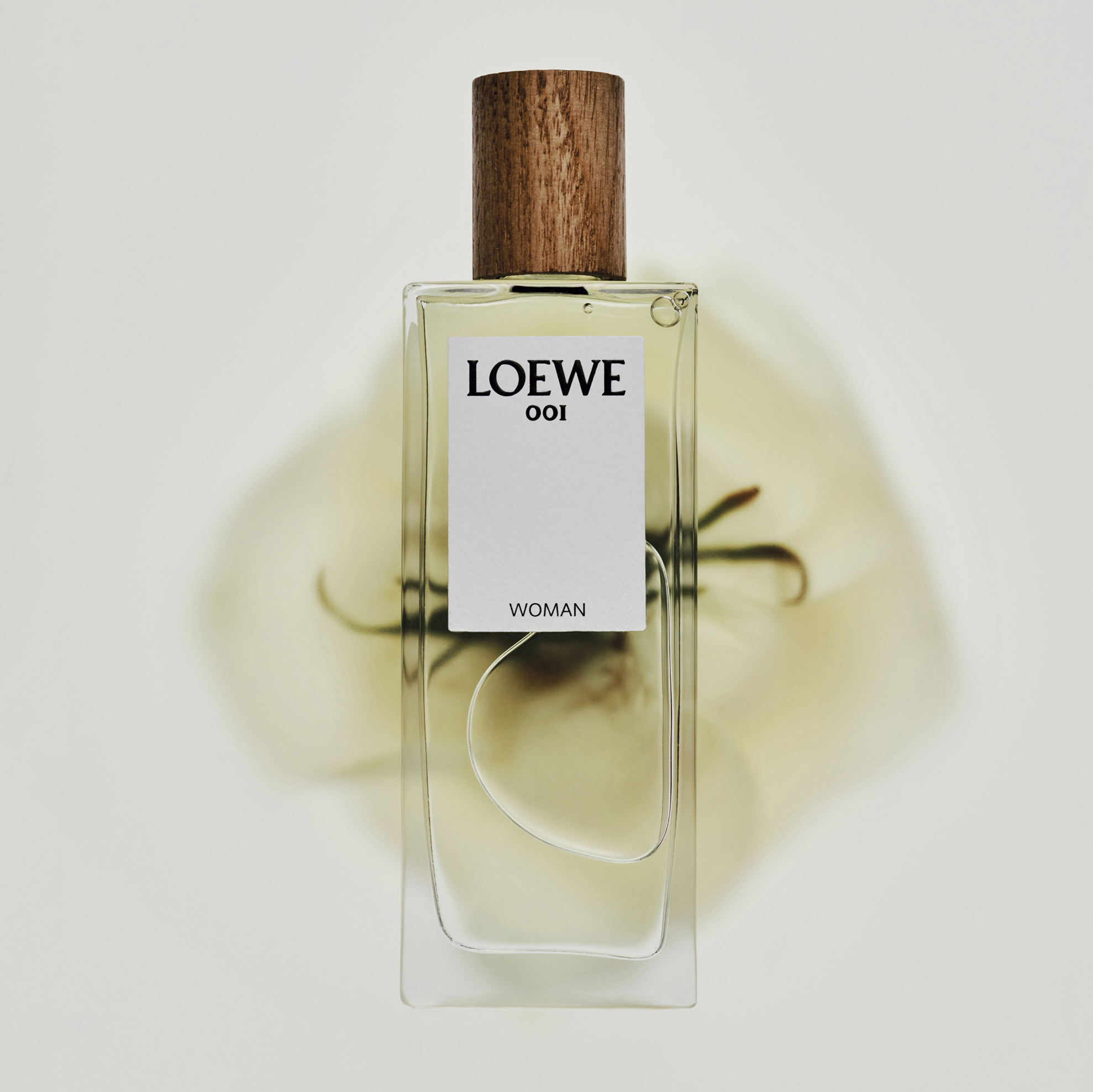 LOEWE-BOTANICAL-RAINBOW-HANH-TRINH-HUONG-TINH-HOA-TU-TAY-BAN-NHA_3.jpg