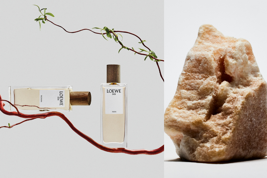 LOEWE-BOTANICAL-RAINBOW-HANH-TRINH-HUONG-TINH-HOA-TU-TAY-BAN-NHA_5.png