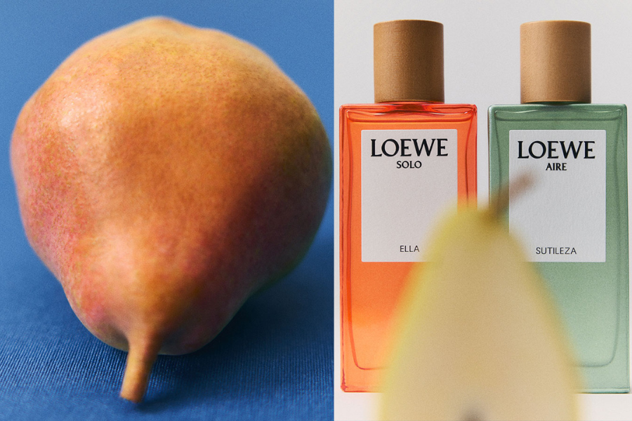 LOEWE-BOTANICAL-RAINBOW-HANH-TRINH-HUONG-TINH-HOA-TU-TAY-BAN-NHA_6.png