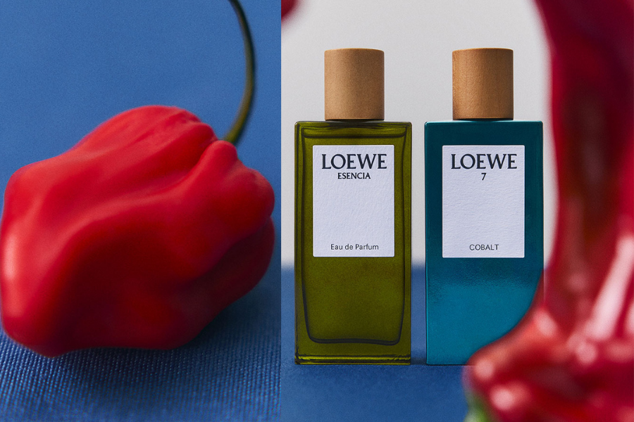 LOEWE-BOTANICAL-RAINBOW-HANH-TRINH-HUONG-TINH-HOA-TU-TAY-BAN-NHA_7.png
