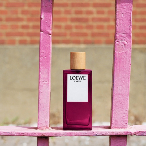 LOEWE-CHAN-DUNG-NOI-TAM-DUOC-VE-BANG-HUONG-SAC_3.png
