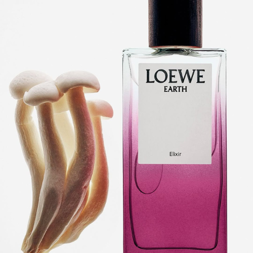 LOEWE-CHAN-DUNG-NOI-TAM-DUOC-VE-BANG-HUONG-SAC_4.png