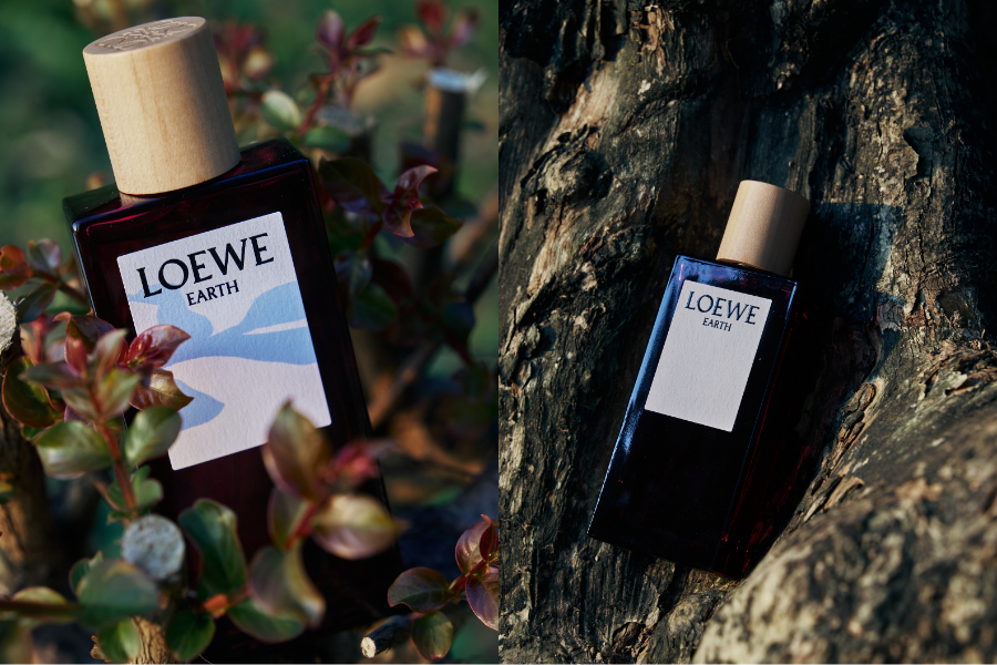 LOEWE-EARTH-amp-KHUC-MANH-QUAN-MUI-HUONG-CUA-CHIEU-SAU-DUONG-DAI_1 (1).png