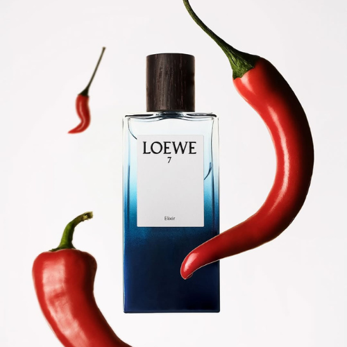 LOEWE-VA-NGHE-THUAT-KE-CHUYEN-BANG-HUONG_2.png