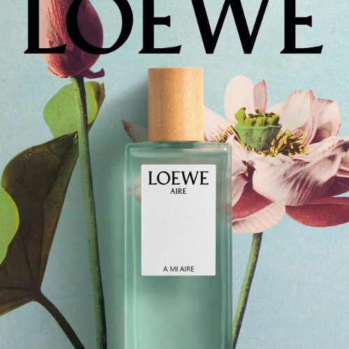 QUA-TANG-TINH-TE-TU-LOEWE-DANH-CHO-NGAY-PHU-NU-VIET-NAM_5.png