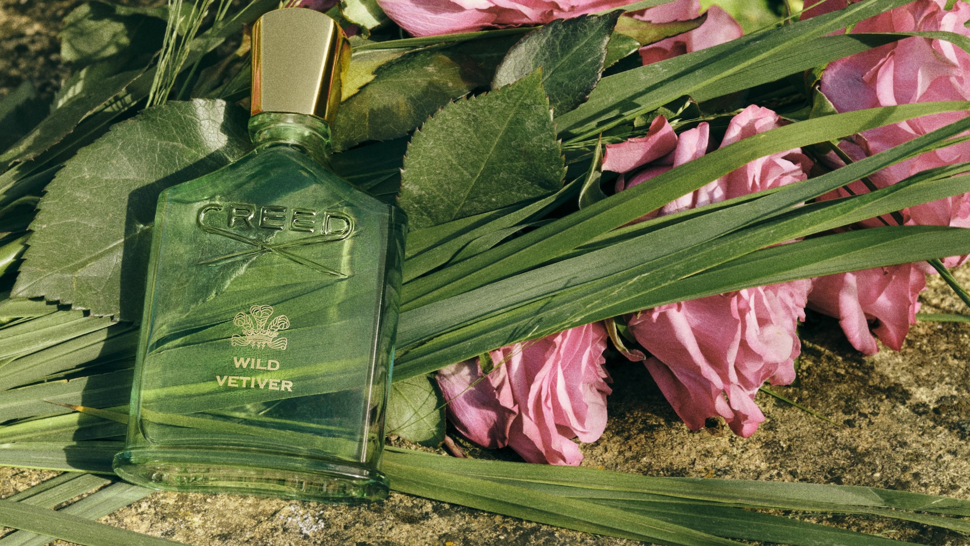 WILD VETIVER – HÀNH TRÌNH KHÁM PHÁ CỎ HƯƠNG BÀI DƯỚI GÓC NHÌN CỦA CREED