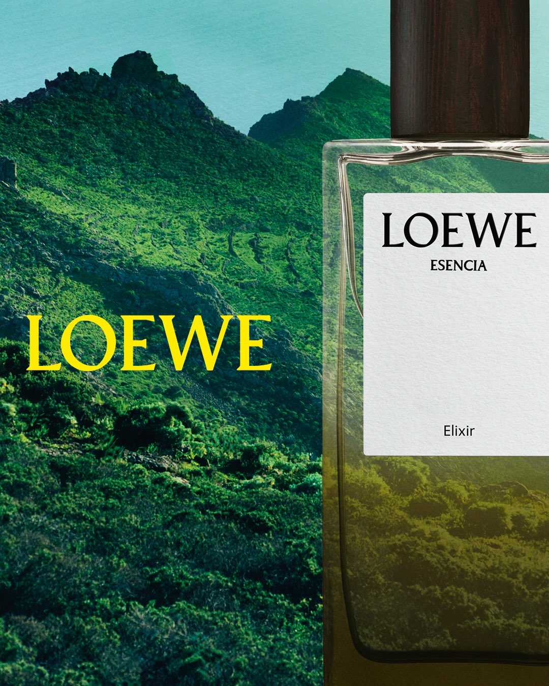 CUNG-NGAM-NHIN-CHIEN-DICH-QUANG-BA-NUOC-HOA-LOEWE-DAU-TIEN-CUA-JACK-MCCOLLOUGH-VA-LAZARO-HERNANDEZ-2.jpg