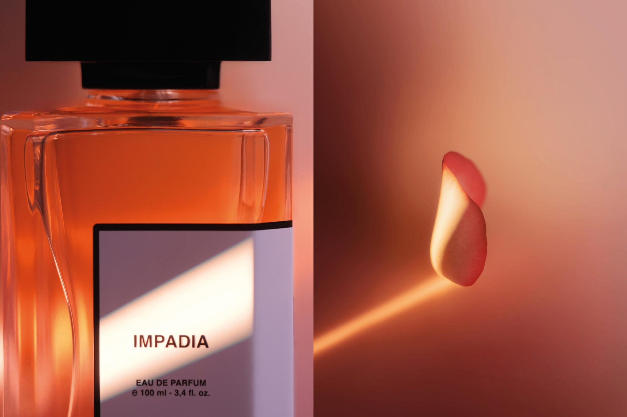 Impadia-2.png